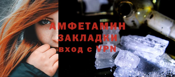 мет Алексин